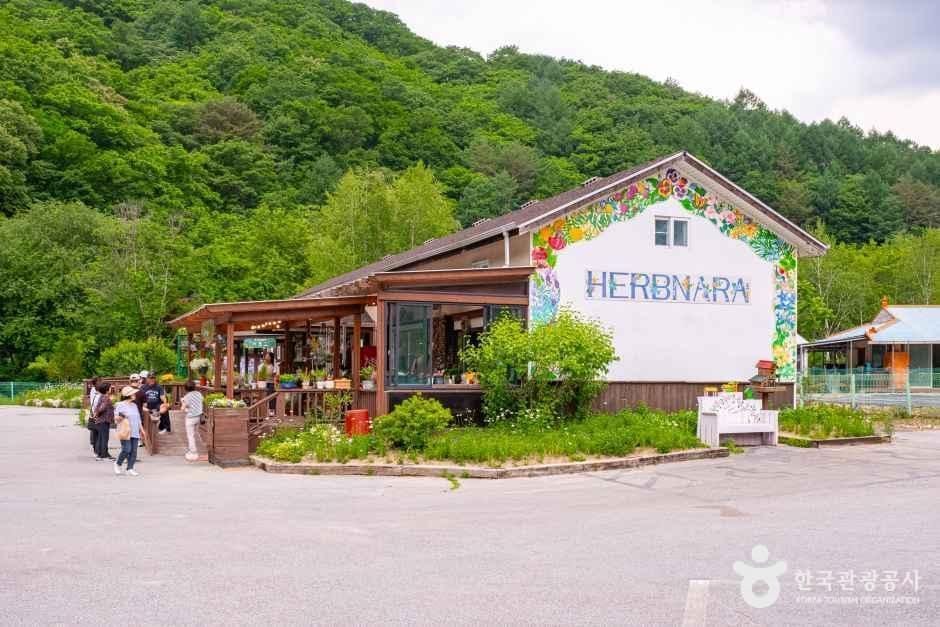 허브나라